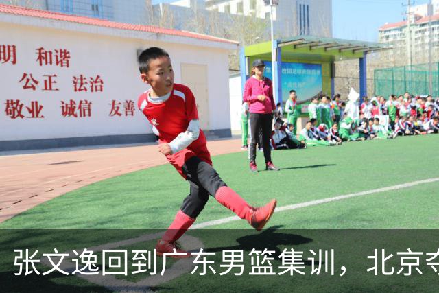 张文逸回到广东男篮集训，北京夺冠功勋确定退役，上海欲续约弗格