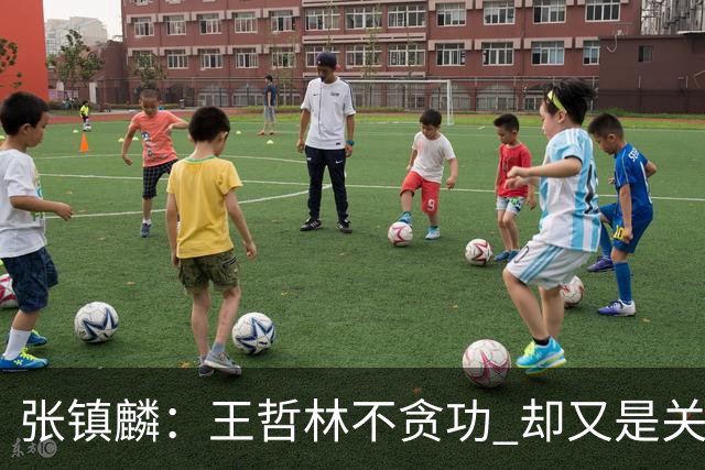 张镇麟：王哲林不贪功 却又是关键时刻能站出来的人 队长当之无愧